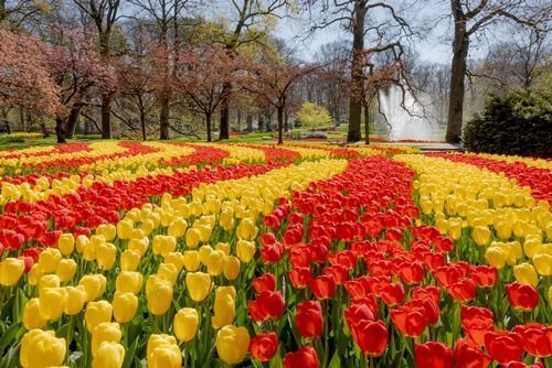 Contemplar el jardín más bello del mundo a bordo de un crucero fluvial 5 el jardín más bello del mundo