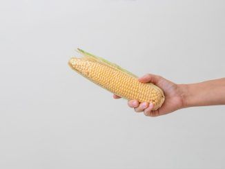 Los carotenoides de las plantas y sus beneficios para la piel
