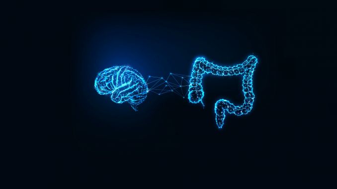 Lo que pensamos y sentimos afecta a la microbiota (y viceversa)